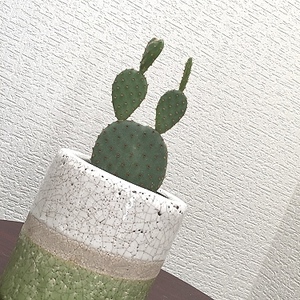 kazue_nail ⚛︎Buena⚛︎さんのネイルデザイン・ジェルネイルに関するスナップフォト(ID:403104)