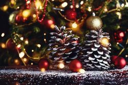 聖夜は大好きな人と過ごしたい♡おすすめクリスマスデート計画書！