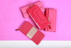 【今すぐ欲しい♡】大注目レディースブランドの《お財布》とは？！