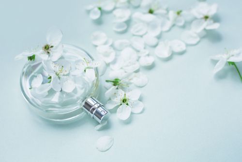 媚びない大人は香りで纏う 人気 フェルナンダのマリアリゲル 特集 Arine アリネ